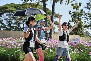 BIB: , 
                            <button type="button" onclick="openModal(27803713)" class="btn btn-primary btn-sm float-right btn-popup" data-toggle="modal" data-target=".modal-high-quality">
                        <i class="fas fa-shopping-cart"></i> Add to Cart
                    </button>
                                            <button type="button" onclick="isThisMe(27803713, true)" class="btn btn-success btn-sm float-right btn-popup btn-isme hidden" data-toggle="tooltip" data-placement="bottom" title="นี่คือรูปของคุณใช่ไหม คลิกที่นี่เพื่อเอาเข้าอัลบั้ม">
                        <i class="fas fa-plus"></i> Add to album
                    </button>
                    <button type="button" onclick="isThisMe(27803713, false)" class="btn btn-warning btn-sm float-right btn-popup btn-isnotme hidden">
                        <i class="fas fa-ban"></i> Remove from album
                    </button>